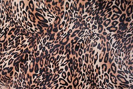 Impression sur cuir motif léopard