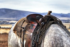 Le travail du sellier