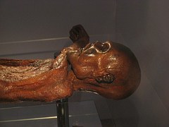 Ötzi tannage